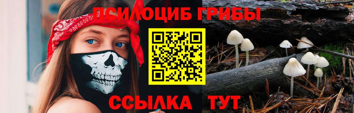 Псилоцибиновые грибы мицелий  Вход с VPN  Губаха  Псилоцибиновые грибы ЛСД 